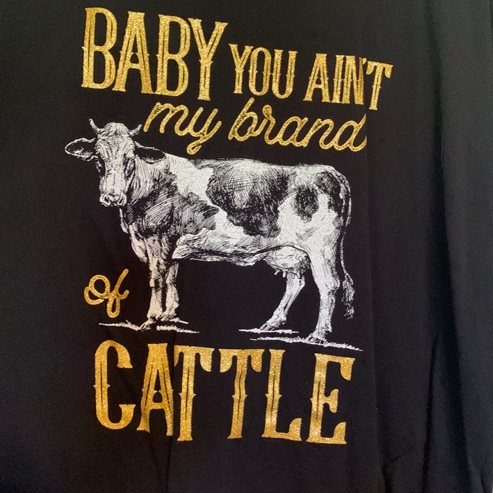 Baby You Ain’t My Brand of Cattle